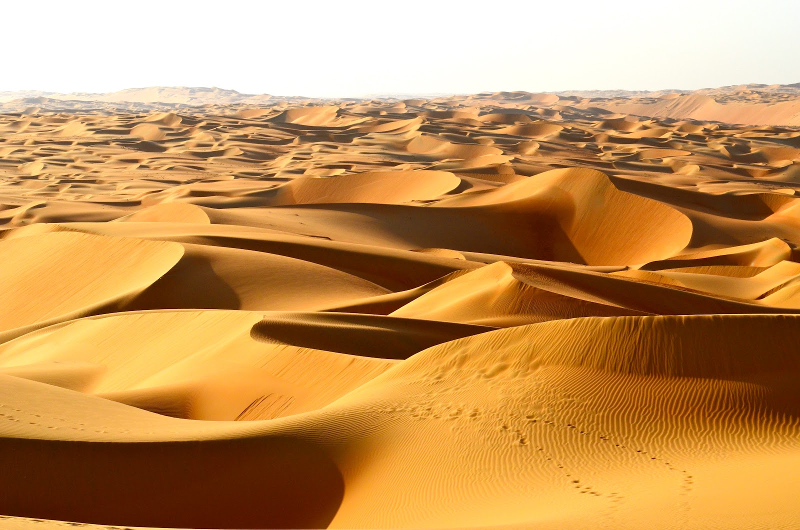 Desert Safari Dubai offers Desert Safari, City Tours & Dhow Cruise Packages