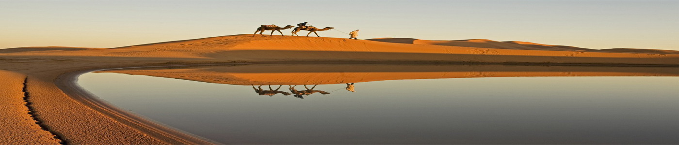 Desert Safari Dubai offers Desert Safari, City Tours & Dhow Cruise Packages